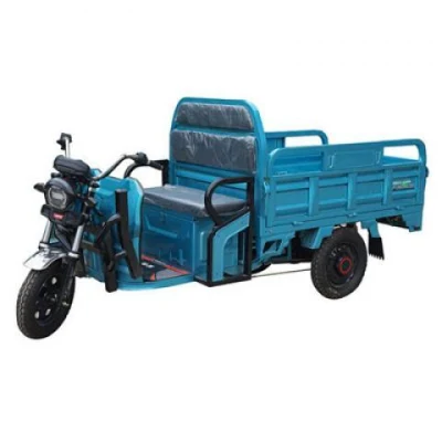 Fast Delivery Heavy Duty Three Wheel Cargo Tricycle for Sale Steel Body 3 Wheel Electric Motorcycle Car for The Farm, Warehouse